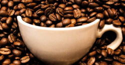 Profitable Lobby Café With Modern Fitout And Huge Potential.
