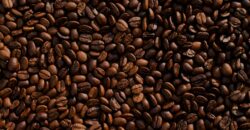 Renowned Café in Popular Hills Area, Short Trading Hours, High Profits
