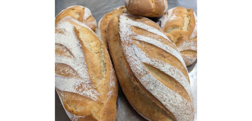 Profitable, Award-Winning Bakery for Sale – 25+ Years, Loyal Customers and Prime Location