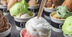 Franchise Dessert Bar, Gelato Café Opportunity | Central Coast region, Easy to Operate