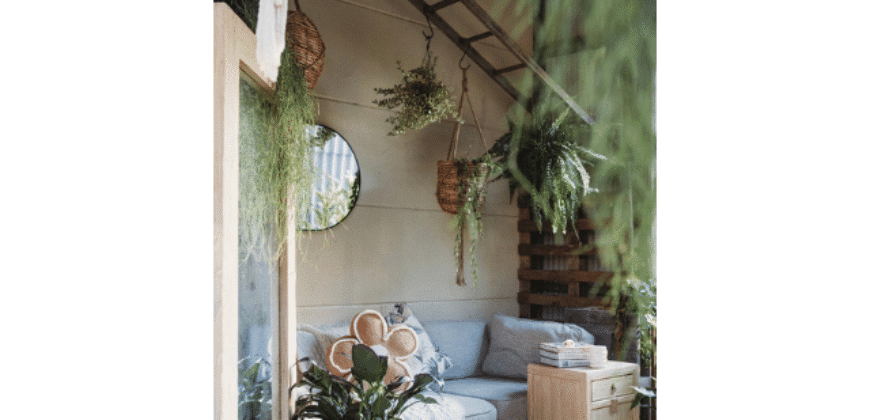 Boutique Plant & Giftware Store – Creative Lifestyle Business | Sydney