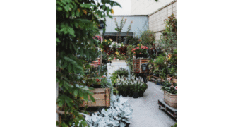 Boutique Plant & Giftware Store – Creative Lifestyle Business | Sydney